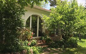 Casas Rurales La Huerta
